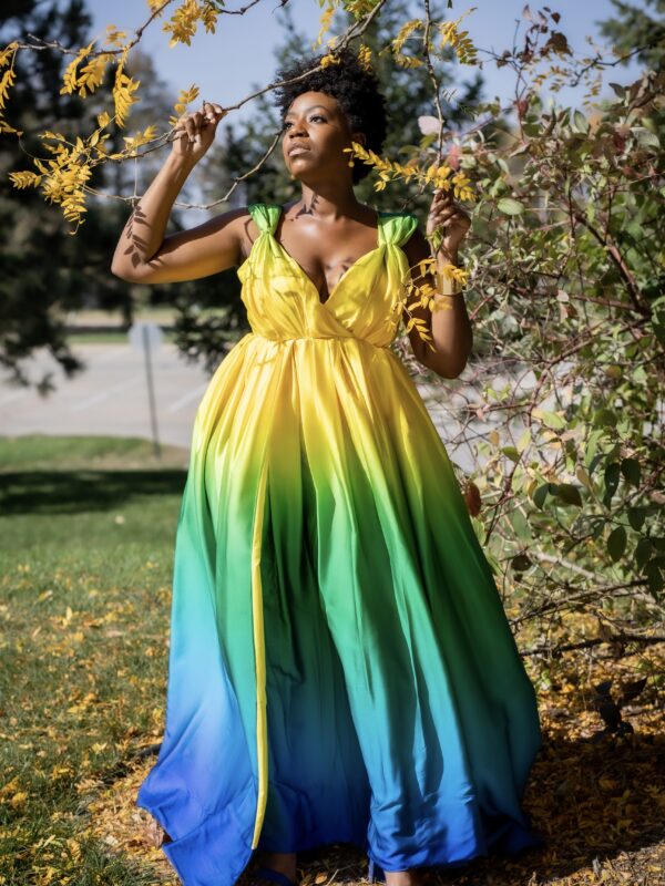 Multicolor Silk Sleeveless Formal Maxi Dress-4