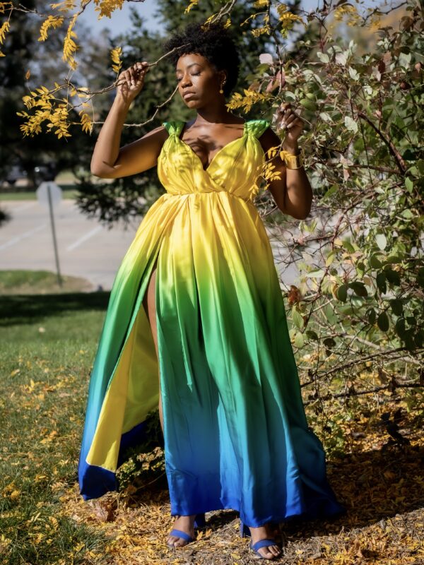 Multicolor Silk Sleeveless Formal Maxi Dress-3