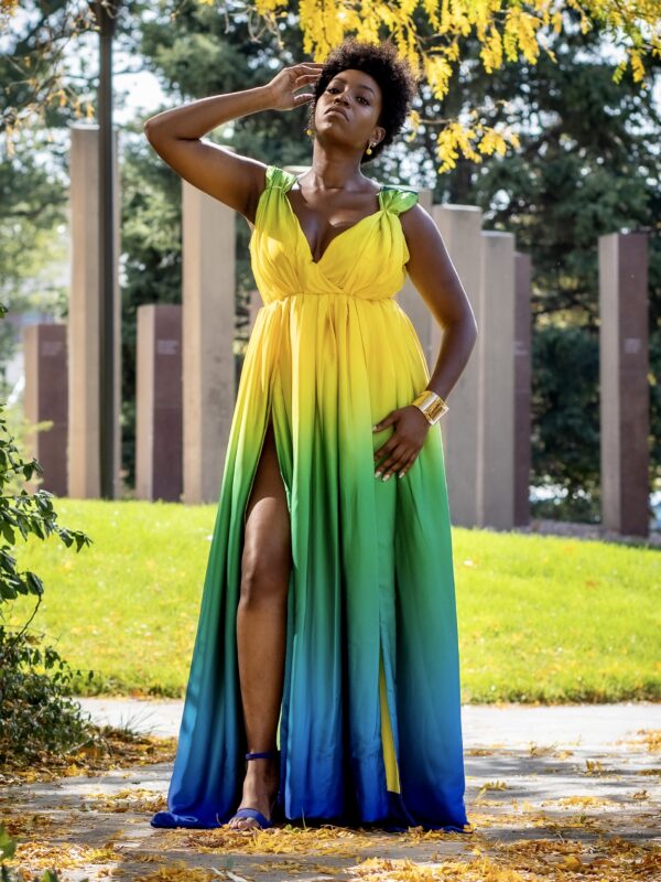 Multicolor Silk Sleeveless Formal Maxi Dress-1