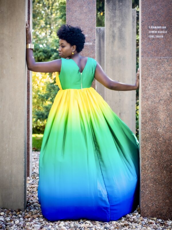 Multicolor Silk Sleeveless Formal Maxi Dress-2