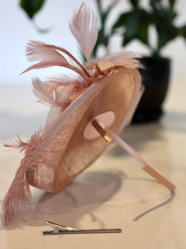 A pink hat with feathers on top of the head.