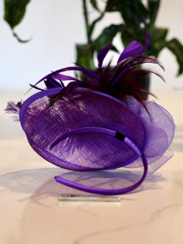 Purple feathered headband with mesh.