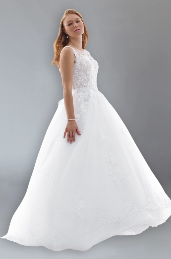 Ballgown Tulle With Lace Embellishments